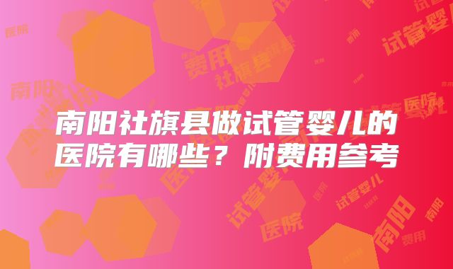 南阳社旗县做试管婴儿的医院有哪些？附费用参考