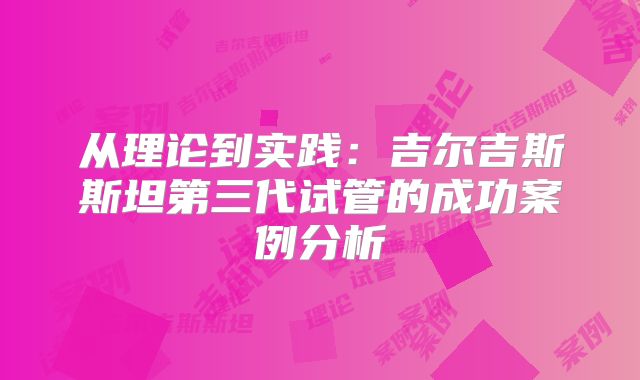从理论到实践：吉尔吉斯斯坦第三代试管的成功案例分析