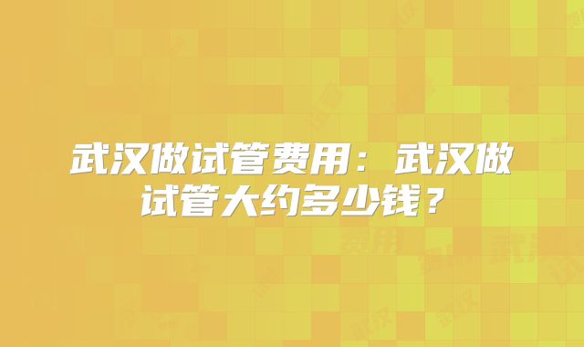 武汉做试管费用：武汉做试管大约多少钱？