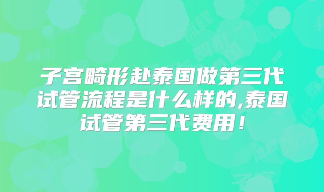 子宫畸形赴泰国做第三代试管流程是什么样的,泰国试管第三代费用！
