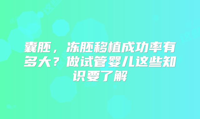 囊胚，冻胚移植成功率有多大？做试管婴儿这些知识要了解