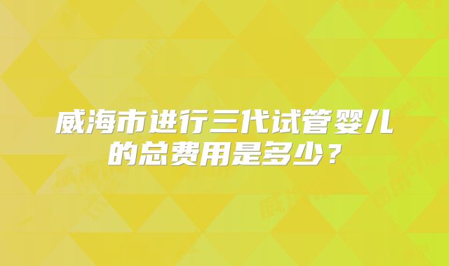 威海市进行三代试管婴儿的总费用是多少？
