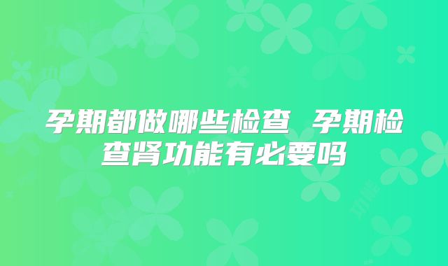 孕期都做哪些检查 孕期检查肾功能有必要吗