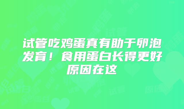 试管吃鸡蛋真有助于卵泡发育!食用蛋白长得更好原因在这