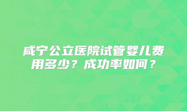 咸宁公立医院试管婴儿费用多少?成功率如何?