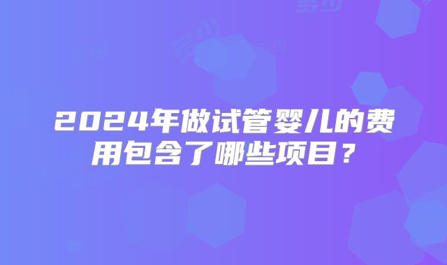 2024年做试管婴儿的费用包含了哪些项目？