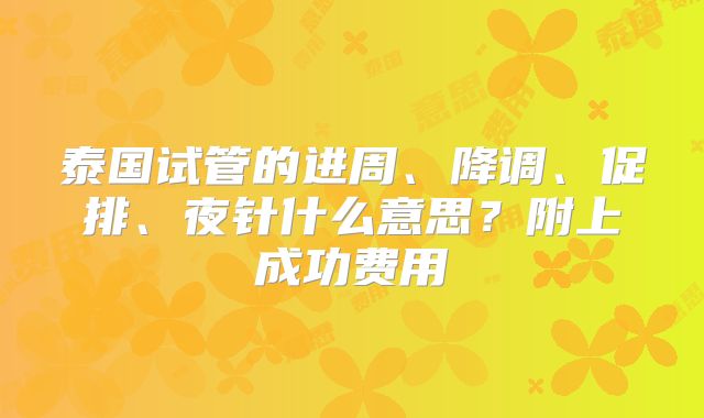 泰国试管的进周、降调、促排、夜针什么意思？附上成功费用