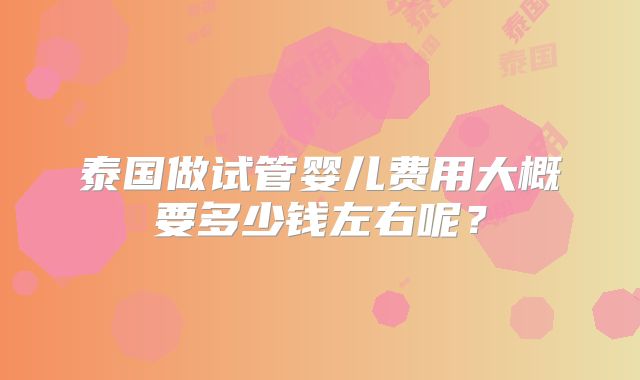 泰国做试管婴儿费用大概要多少钱左右呢?