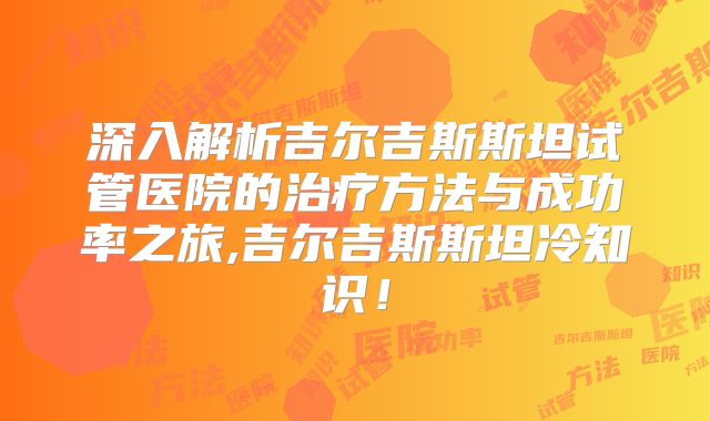 深入解析吉尔吉斯斯坦试管医院的治疗方法与成功率之旅,吉尔吉斯斯坦冷知识！