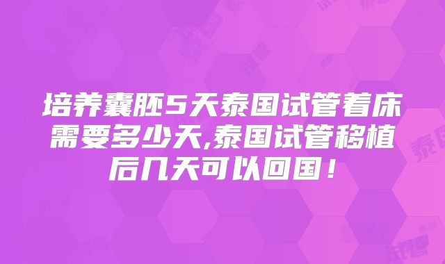培养囊胚5天泰国试管着床需要多少天,泰国试管移植后几天可以回国！