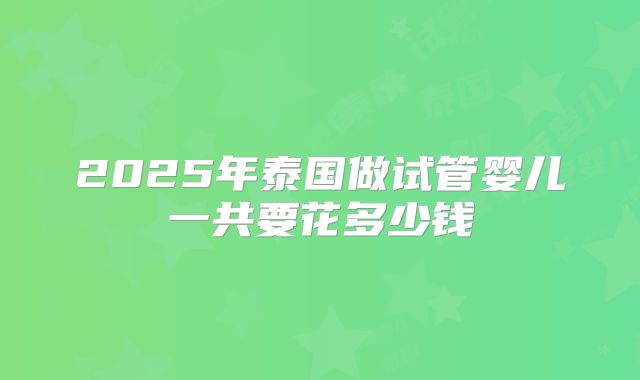 2025年泰国做试管婴儿一共要花多少钱