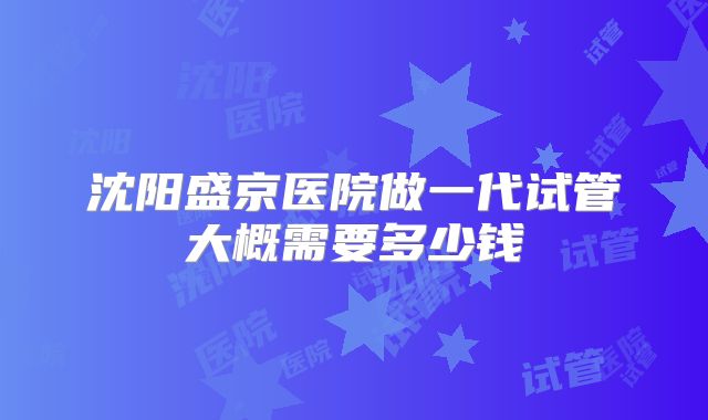 沈阳盛京医院做一代试管大概需要多少钱