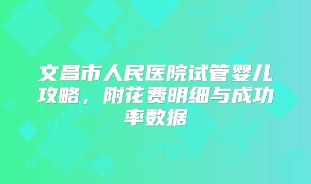 文昌市人民医院试管婴儿攻略，附花费明细与成功率数据