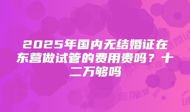 2025年国内无结婚证在东营做试管的费用贵吗？十二万够吗