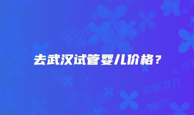 去武汉试管婴儿价格？