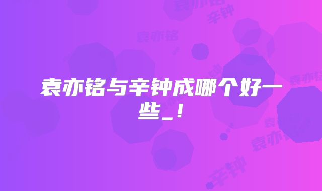 袁亦铭与辛钟成哪个好一些_！