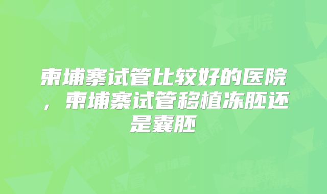 柬埔寨试管比较好的医院，柬埔寨试管移植冻胚还是囊胚