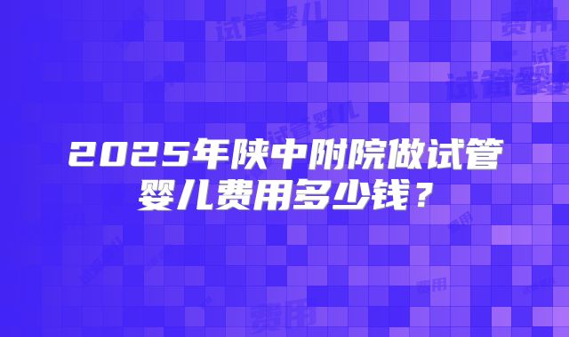 2025年陕中附院做试管婴儿费用多少钱？