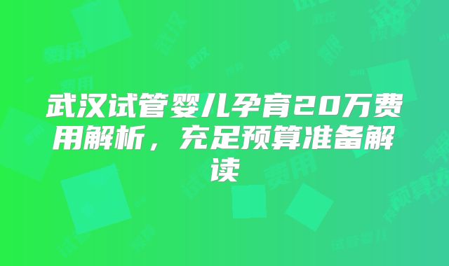 武汉试管婴儿孕育20万费用解析，充足预算准备解读