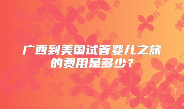 广西到美国试管婴儿之旅的费用是多少？