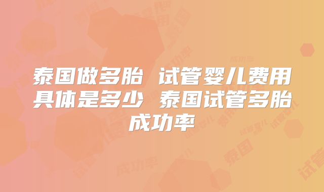 泰国做多胎 试管婴儿费用具体是多少 泰国试管多胎成功率