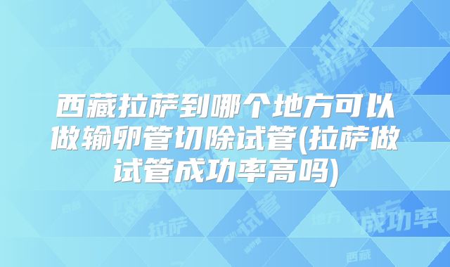 西藏拉萨到哪个地方可以做输卵管切除试管(拉萨做试管成功率高吗)