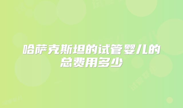 哈萨克斯坦的试管婴儿的总费用多少