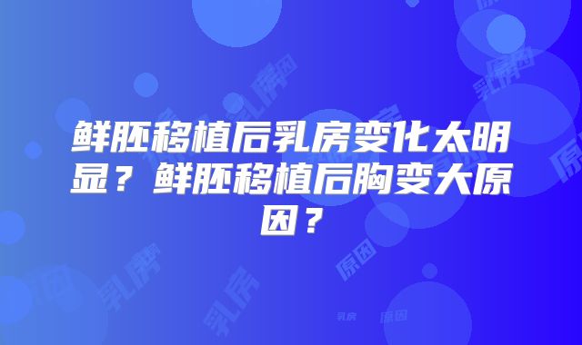 鲜胚移植后乳房变化太明显?鲜胚移植后胸变大原因?