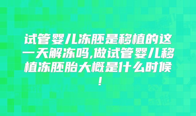 试管婴儿冻胚是移植的这一天解冻吗,做试管婴儿移植冻胚胎大概是什么时候！