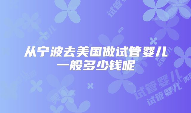 从宁波去美国做试管婴儿一般多少钱呢