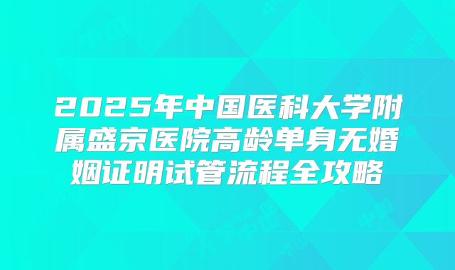 2025年中国医科大学附属盛京医院高龄单身无婚姻证明试管流程全攻略