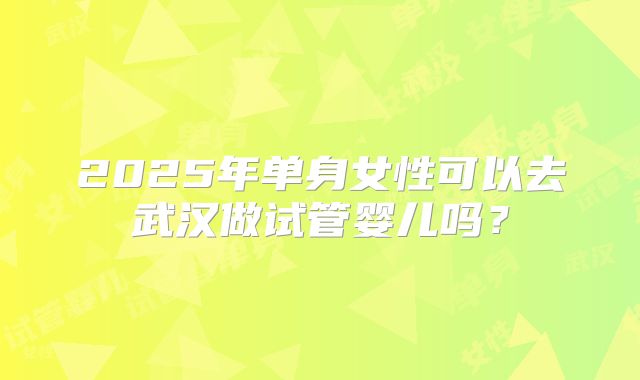 2025年单身女性可以去武汉做试管婴儿吗？
