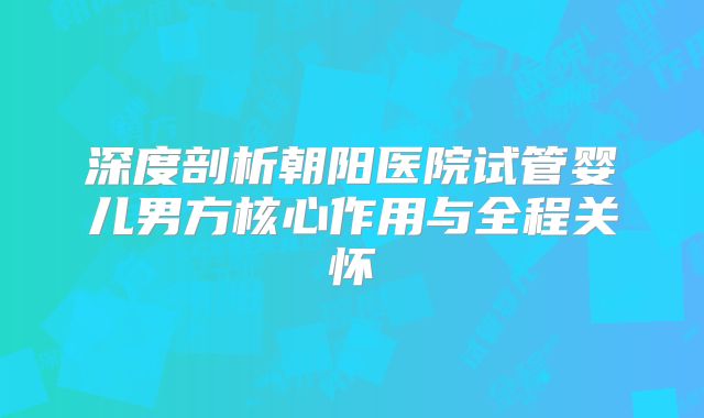 深度剖析朝阳医院试管婴儿男方核心作用与全程关怀