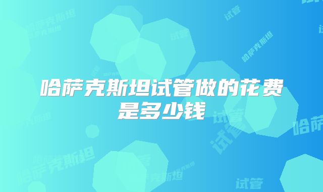 哈萨克斯坦试管做的花费是多少钱