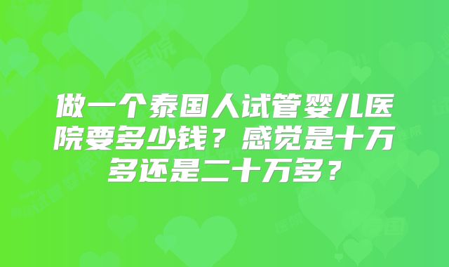 做一个泰国人试管婴儿医院要多少钱?感觉是十万多还是二十万多?