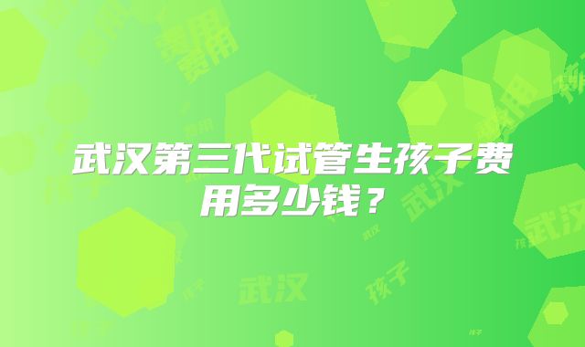 武汉第三代试管生孩子费用多少钱？