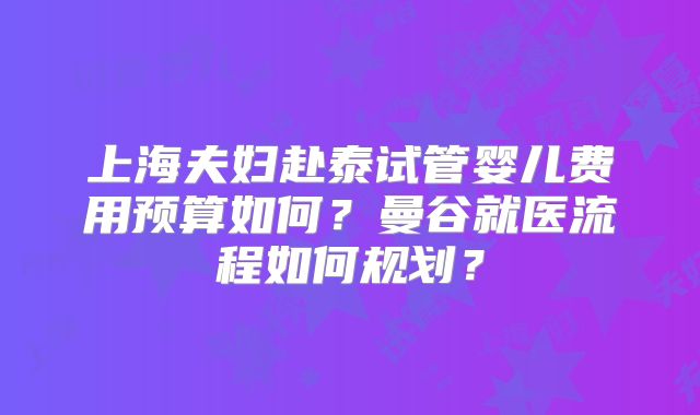 上海夫妇赴泰试管婴儿费用预算如何?曼谷就医流程如何规划?