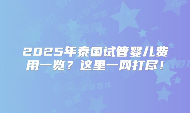 2025年泰国试管婴儿费用一览？这里一网打尽！