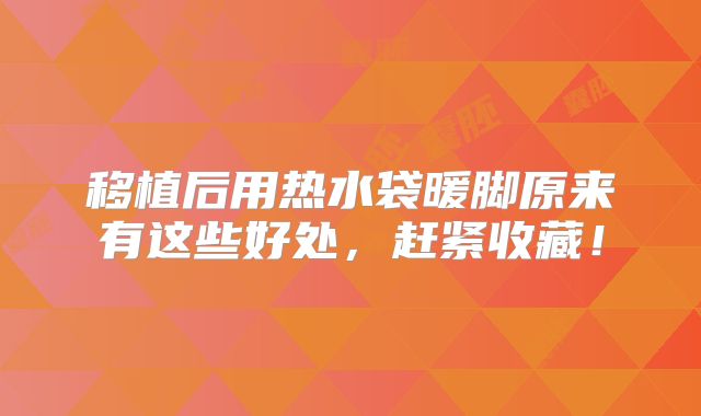 移植后用热水袋暖脚原来有这些好处，赶紧收藏！