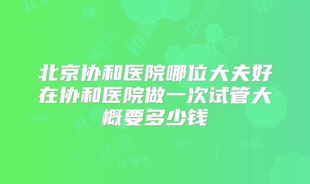 北京协和医院哪位大夫好在协和医院做一次试管大概要多少钱