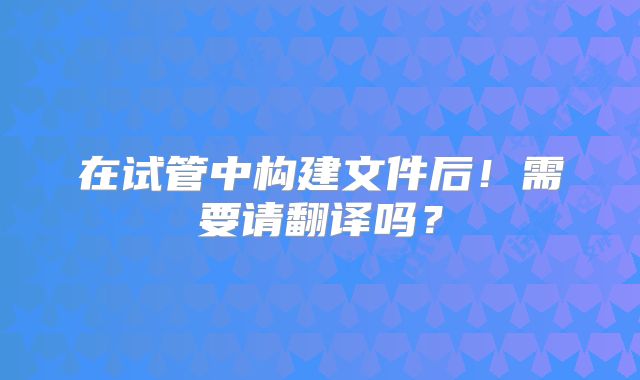 在试管中构建文件后!需要请翻译吗?