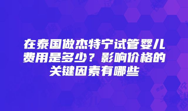 在泰国做杰特宁试管婴儿费用是多少？影响价格的关键因素有哪些