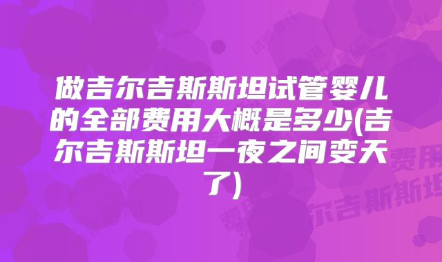 做吉尔吉斯斯坦试管婴儿的全部费用大概是多少(吉尔吉斯斯坦一夜之间变天了)