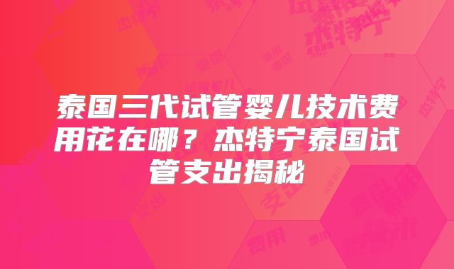 泰国三代试管婴儿技术费用花在哪？杰特宁泰国试管支出揭秘