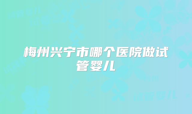 梅州兴宁市哪个医院做试管婴儿