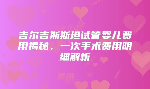 吉尔吉斯斯坦试管婴儿费用揭秘，一次手术费用明细解析