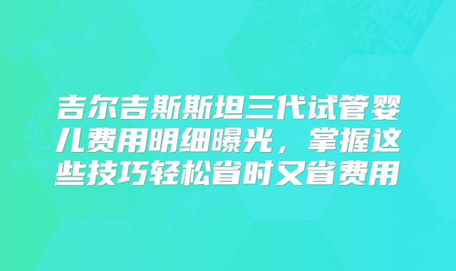 吉尔吉斯斯坦三代试管婴儿费用明细曝光，掌握这些技巧轻松省时又省费用