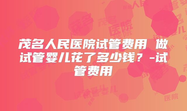 茂名人民医院试管费用 做试管婴儿花了多少钱？-试管费用