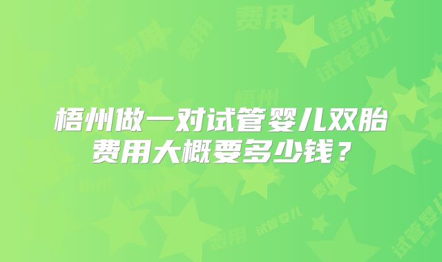 梧州做一对试管婴儿双胎费用大概要多少钱？