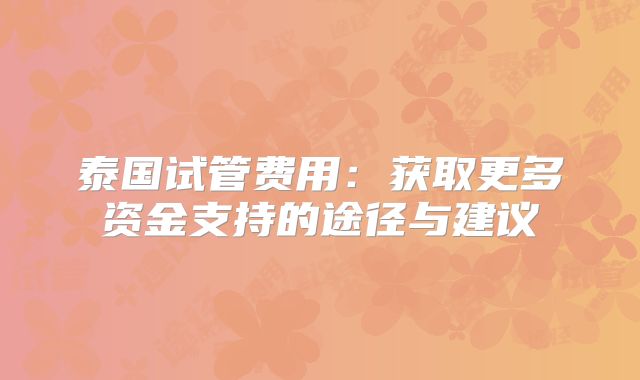 泰国试管费用:获取更多资金支持的途径与建议